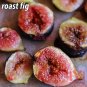 100pc Sweet Red Fig seeds Organic Edible Tropical fruit Mulberry family