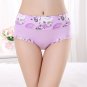 Plus Size Women Underwear Panties Seamless Sexy Briefs Floral Print S XL XXL 4XL