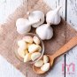 100pc Multi-Petals Garlic Seeds bulbils Organic Black White Vegetable Herb