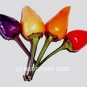 100pc Colourful Small chilli pepper seeds Capsicum Frutescens Rainbow Chili Seed
