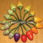 100pc Colourful Small chilli pepper seeds Capsicum Frutescens Rainbow Chili Seed