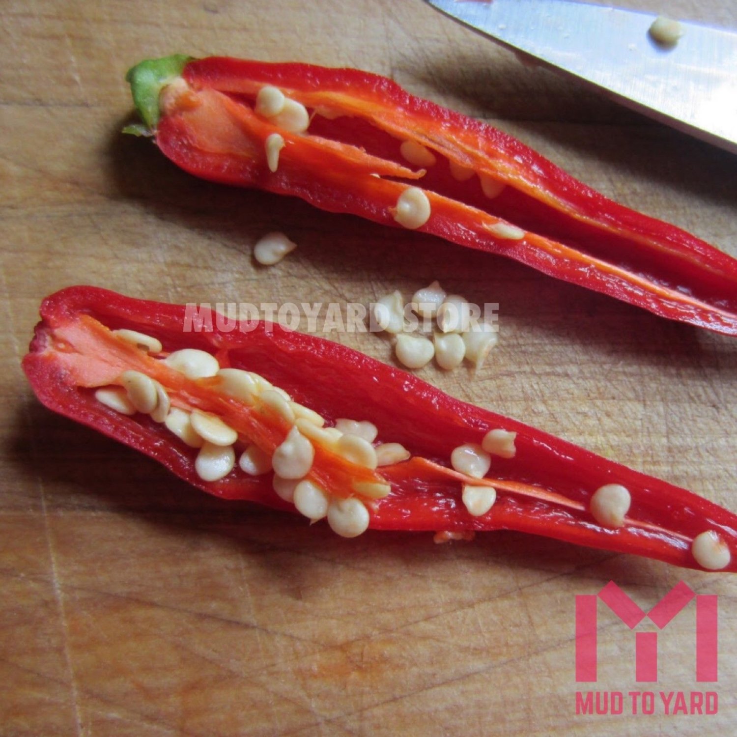 100pcs Long Red chilli pepper seeds Capsicum cayenne peppers spices Chili Seed