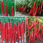 100pcs Long Red chilli pepper seeds Capsicum cayenne peppers spices Chili Seed