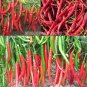 100pcs Long Red chilli pepper seeds Capsicum cayenne peppers spices Chili Seed