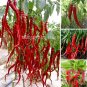100pcs Long Red chilli pepper seeds Capsicum cayenne peppers spices Chili Seed