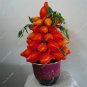 20pcs Red Lemon Seeds Citrus Lime Organic Fruit Seeds Exotic Seed