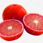 20pcs Red Lemon Seeds Citrus Lime Organic Fruit Seeds Exotic Seed