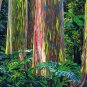 200pcs rare Rainbow Eucalyptus deglupta showy tropical tree seeds for garden