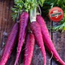 100pcs Cosmic Purple Carrot seeds organic vegetables seed non GMO Purple Dragon