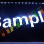 Free shipping LED Neon Light Sign (This product doesn't provide custom design)