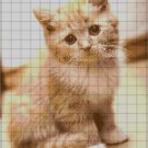 Little Cat cross stitch pattern in pdf ANCHOR