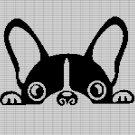 BOSTON TERRIER DOG CROCHET AFGHAN PATTERN GRAPH