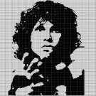 JIM MORRISON FACE CROCHET AFGHAN PATTERN GRAPH2