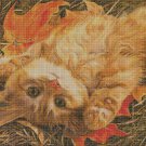 Cat in the fall cross stitch pattern in pdf DMC