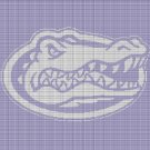 FLORIDA GATE CROCHET AFGHAN PATTERN GRAPH