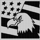 AMERICAN EAGLE CROCHET AFGHAN PATTERN GRAPH