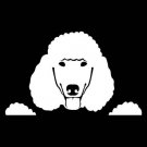POODLE CROCHET AFGHAN PATTERN GRAPH