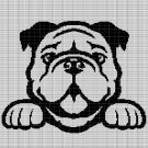 BULLDOG CROCHET AFGHAN PATTERN GRAPH