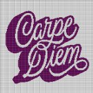 CARPE DIEM CROCHET AFGHAN PATTERN GRAPH