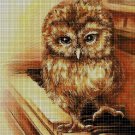 Owl on the piano cross stitch pattern in pdf DMC