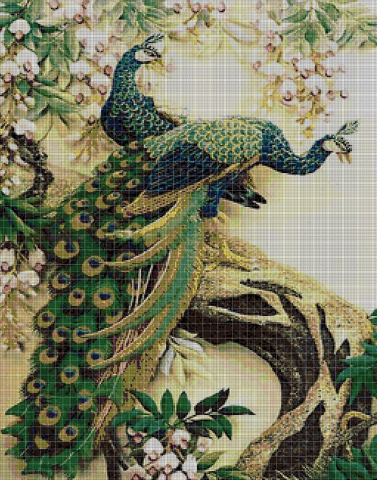 Peacocks 4 cross stitch pattern in pdf DMC