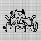CATS 2 CROCHET AFGHAN PATTERN GRAPH