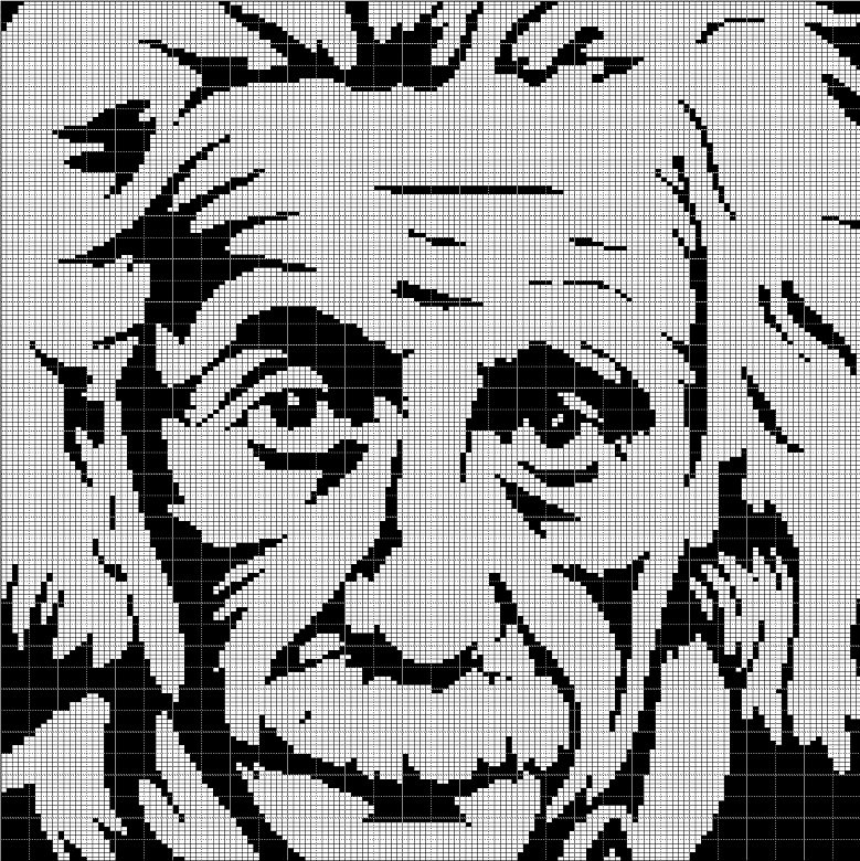 EINSTEIN CROCHET AFGHAN PATTERN GRAPH