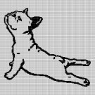 MOPS 3 CROCHET AFGHAN PATTERN GRAPH