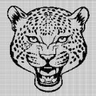CHEETAH HEAD 3 CROCHET AFGHAN PATTERN GRAPH