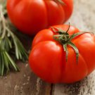 100 Beefsteak Tomato Seeds – Giant Heirloom Fruits Up to 2 Lbs, Indeterminate, Non-GMO