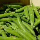 400 Green Arrow Shelling Pea Seeds – Heirloom Non-GMO – Sweet, High-Yield Garden Vegetable