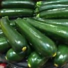 20 Black Beauty Zucchini Seeds - Heirloom Summer Squash, High-Yield Vegetable Seeds for Planting