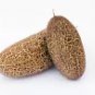 20 Heirloom Vegetable Seeds Pack – Non-GMO Garden Variety for Home Growing & Organic Harvest