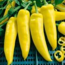 20 Hungarian Yellow Wax Hot Pepper Seeds – Early Prolific, Mild Heat, Easy to Grow, Flavorful Pods