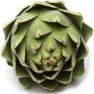 75 Green Globe Artichoke Seeds Cynara Scolymus – Heirloom Vegetable Garden Plant Seeds #FLO