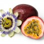 20 Purple Passion Fruit Seeds – Passiflora Edulis Sweet Exotic Vine Flower Tropical Plant #FLO