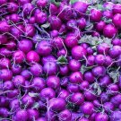 300 Purple Plum Radish Seeds - Heirloom Raphanus Sativus White Flesh Sweet Crisp Root Vegetable #FLO