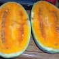 50 Tendersweet Orange Watermelon Citrullus Lanatus Fruit Seeds#FLO