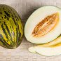 50 Piel De Sapo Melon Santa Claus Christmas Melon Green Cucumis Melo Fruit Seeds#FLO