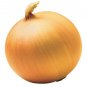 500 Sweet Yellow Spanish Onion Allium Cepa Vegetable Seeds#FLO