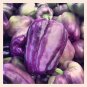 75 Purple Beauty Pepper ( Sweet Mild Bell ) Capsicum Annuum Vegetable Seeds#FLO