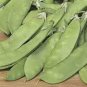50 Snow Pea Pisum Sativum Vegetable Seeds#FLO