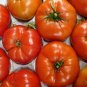 500 Beefsteak Tomato Lycopersicon Lycopersicum Fruit Vegetable Seeds#FLO