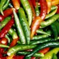 300 Anaheim Chili Pepper (New Mexico Chili Pepper) Capsicum Annuum Vegetable Seeds#FLO