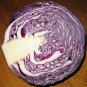 500 Red Acre Cabbage Brassica Oleracea Capitata Vegetable Seeds#FLO