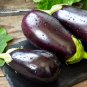1000 Black Beauty Eggplant Solanum Melongena Esculentum Vegetable Seeds#FLO