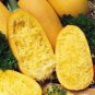 50 Spaghetti Squash Seeds - Winter Squash Vegetable - Cucurbita Pepo - Non-GMO Heirloom Easy Grow