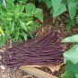 100 Yard-long bean,Aka,Chinese Red Noodle Pole Bean/Seeds/Heirloom, Non Gmo