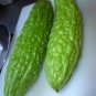 Bitter Gourds Seeds (Asian vegetable) "Green Skin" - 8-10" long - balsam pear (25 Seeds)