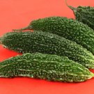 Bitter Gourds Seeds (Japanese Variety) Futo Spindle, 6-8" Dark Green Fruits Bitter Gourds Seeds (Japanese Variety) Futo Spindle, 6-8" Dark Green Fruits